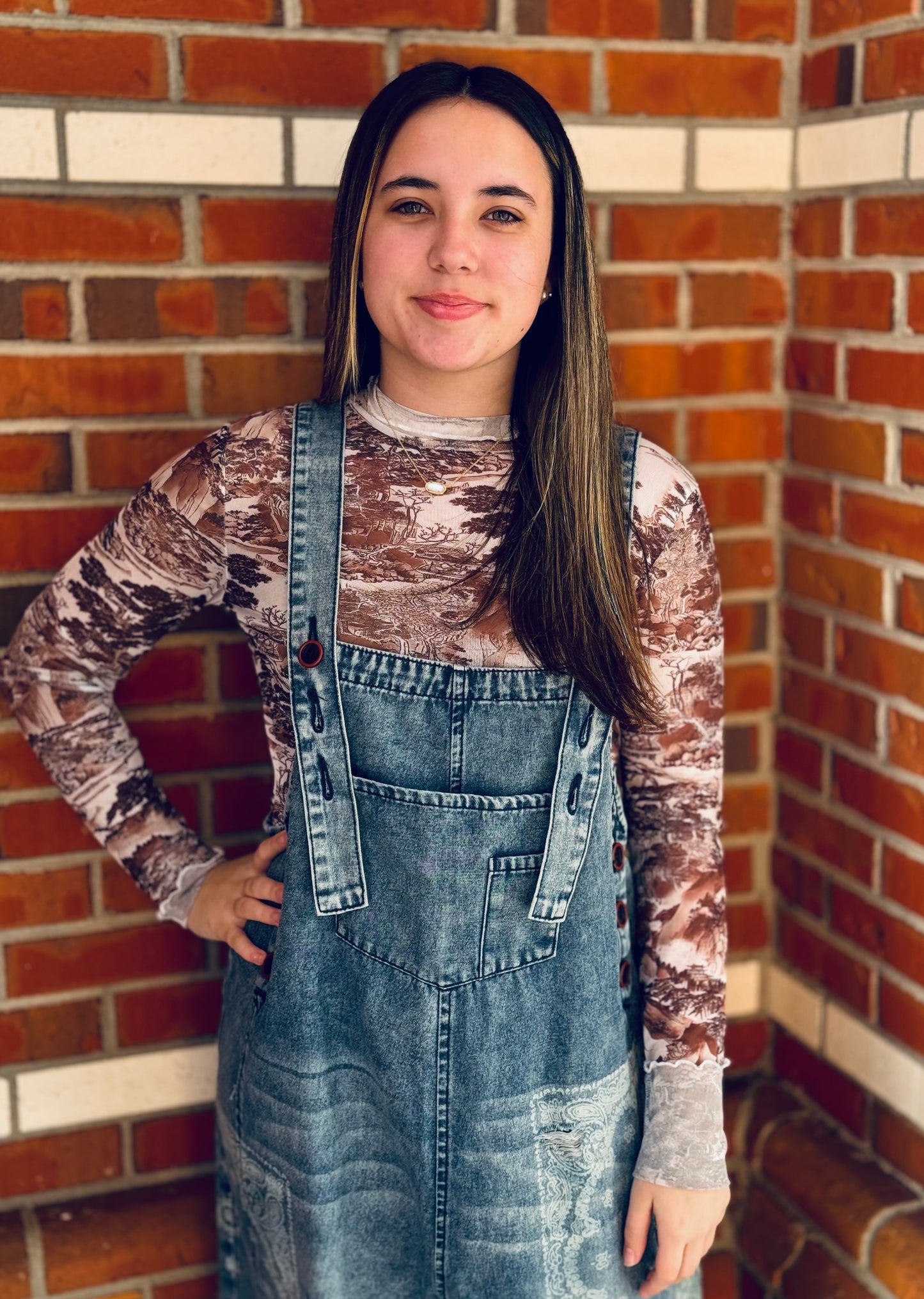 Rustic Horizon Sheer Mesh Top