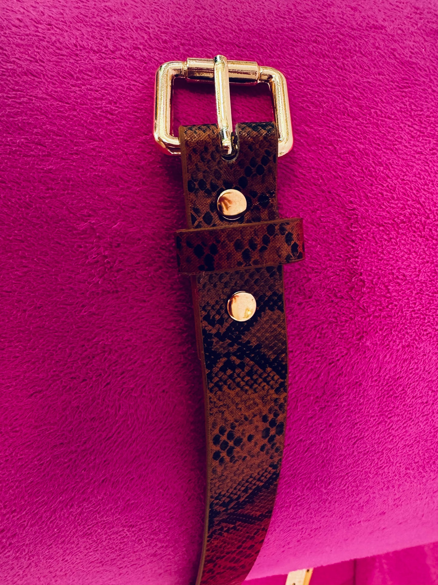 Fashion Belts
