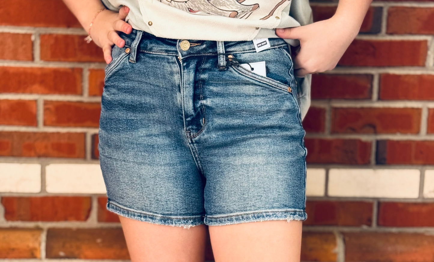 Delta Dawn High Waist Judy Blue Shorts