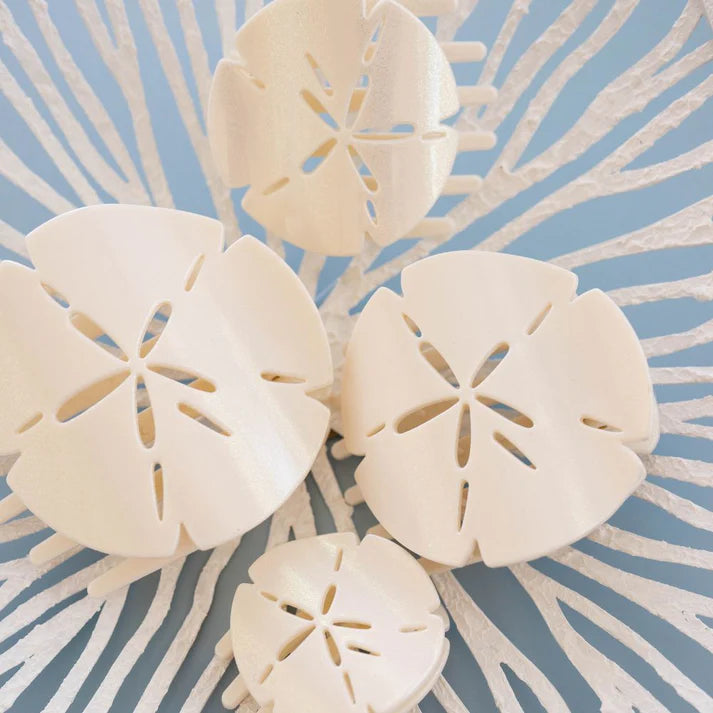Sand Dollar Flat Clip