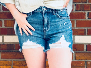 Wipe Out High Waisted Judy Blue Shorts
