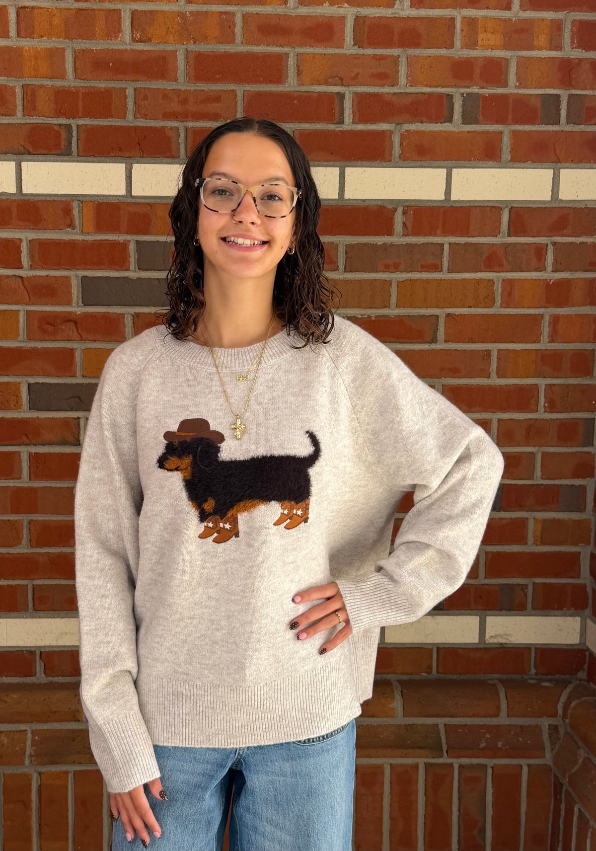 🤠🐶 Yeehaw Doxie Sweater 🐾✨
