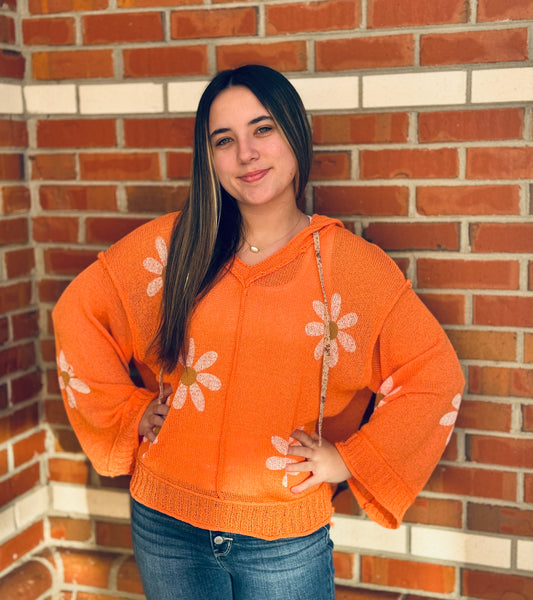 Sunshine & Daisies V-neck Hoodie by POL